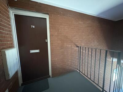 Picture 5